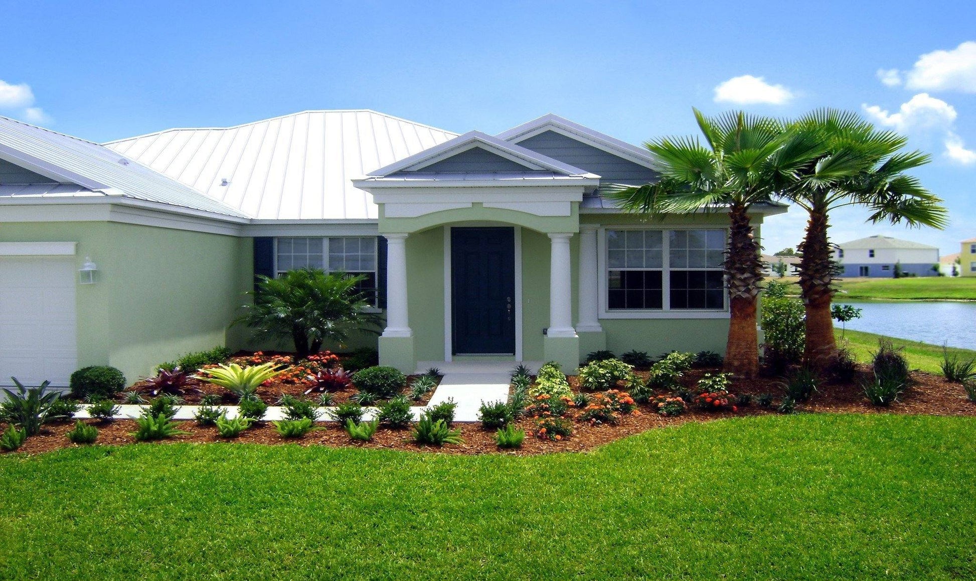 Washingtonia Robusta - Palms and Plants Canada (formerly Norfolk Exotics)